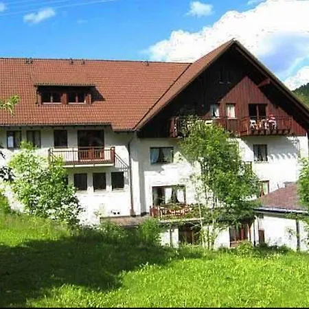 Schwarzwaldmaedel-ferienwohnungen Apartament