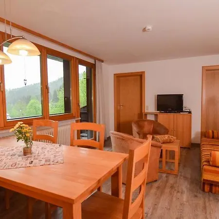 Apartment Schwarzwaldmaedel-ferienwohnungen