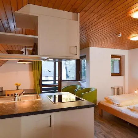 Schwarzwaldmaedel-ferienwohnungen *